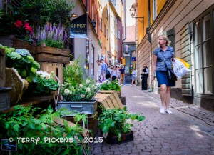 Gamla Stan Flower Alley