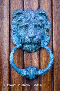 Lion Door Knokker