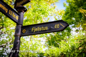 418 steps that is a lot of steps