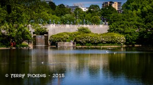 Lake at Frogner Park