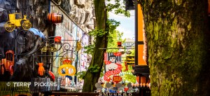 An explosion of signs