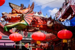 Roller Coaster entry