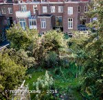 View from our window