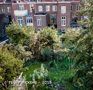 View from our window