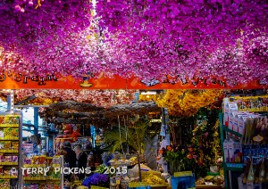 Flower Market
