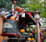 Halloween Decorations