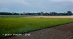 Netherlands field and windmill