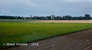 Netherlands field and windmill