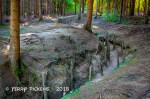 WWI Trenches