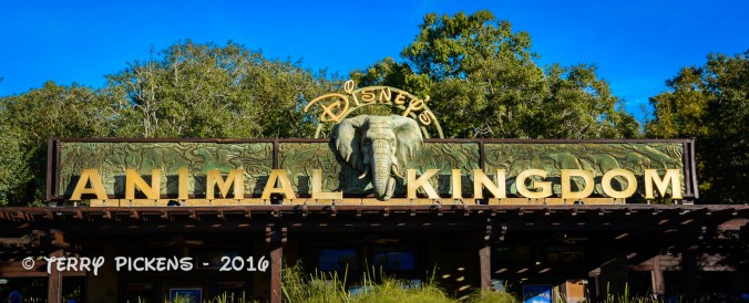 Animal Kingdom