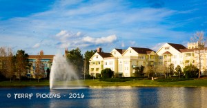 The Paddock Area of Saratoga Springs REsort
