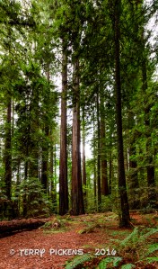 Lovely ending to the day